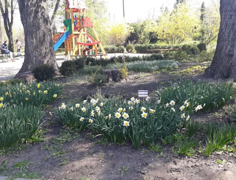 Zaporizhzhia City Children Botanical Garden, Ukraine